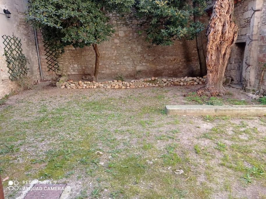 Loft Vue Palais Des Papes Apartment Авиньон Екстериор снимка